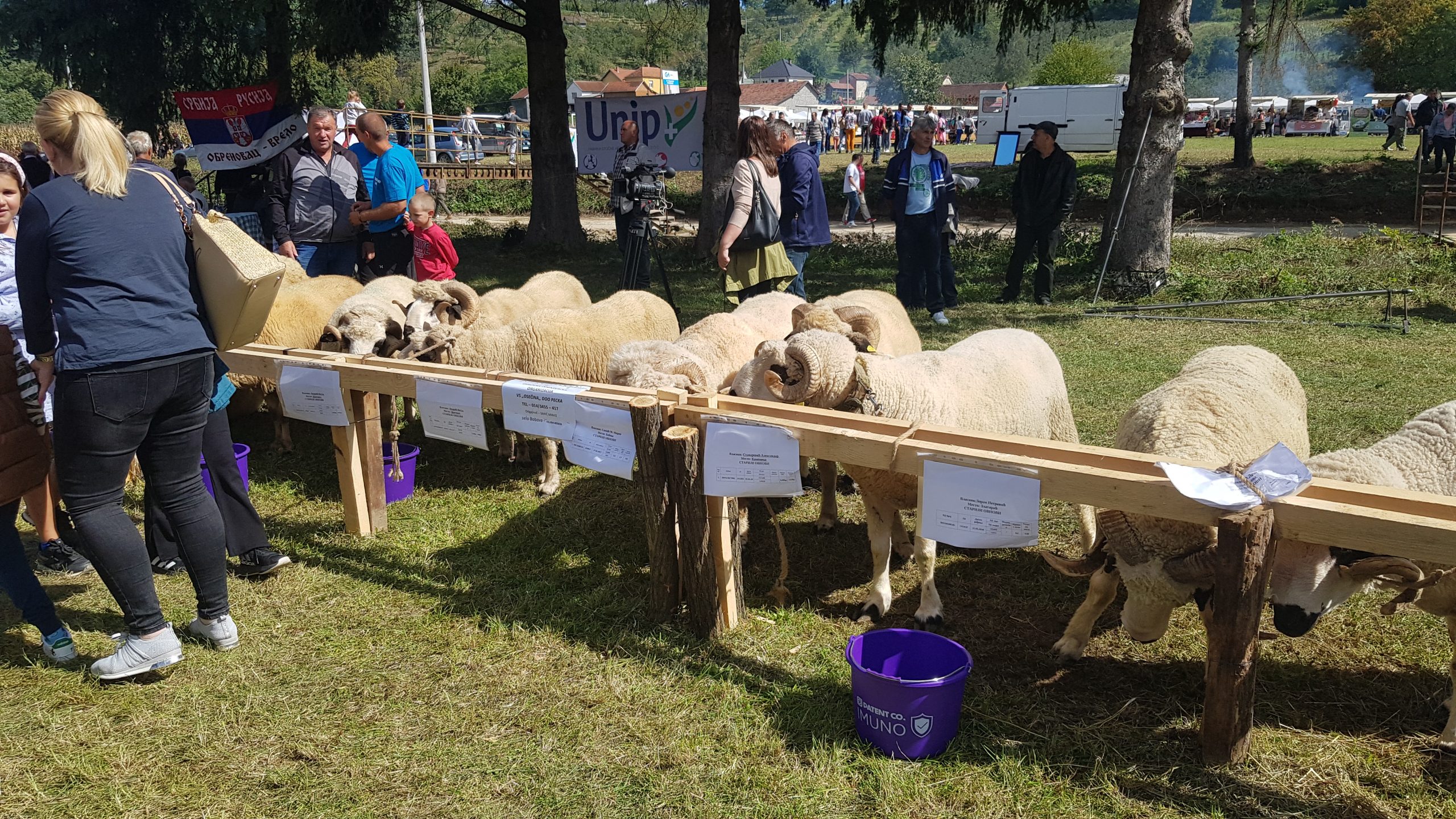 Uspešna Ovčarska izložba i Festival jagnjećeg pečenja -0